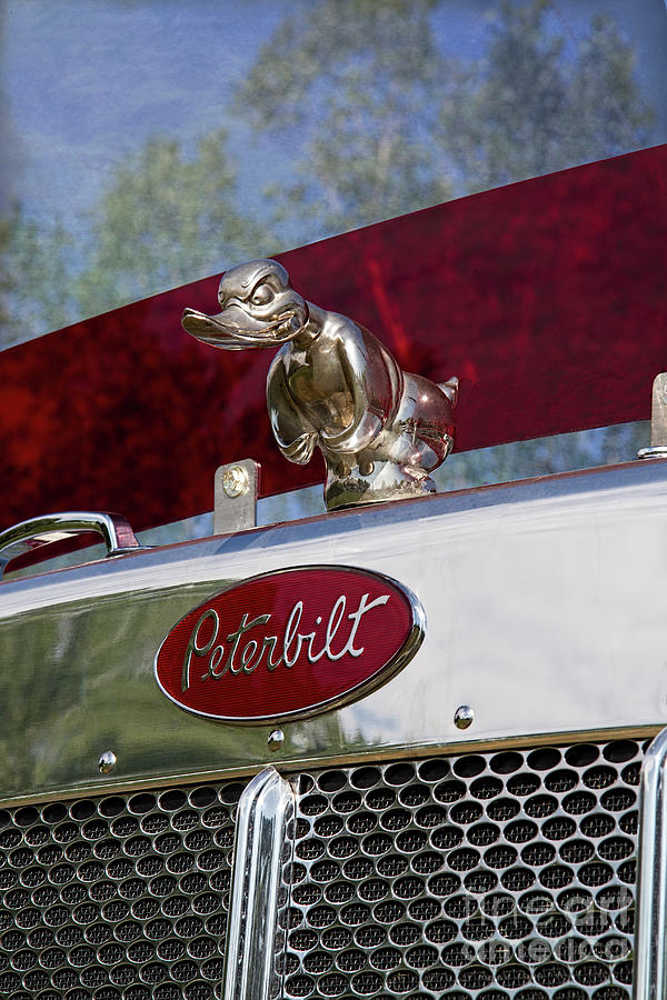 duck hood ornament