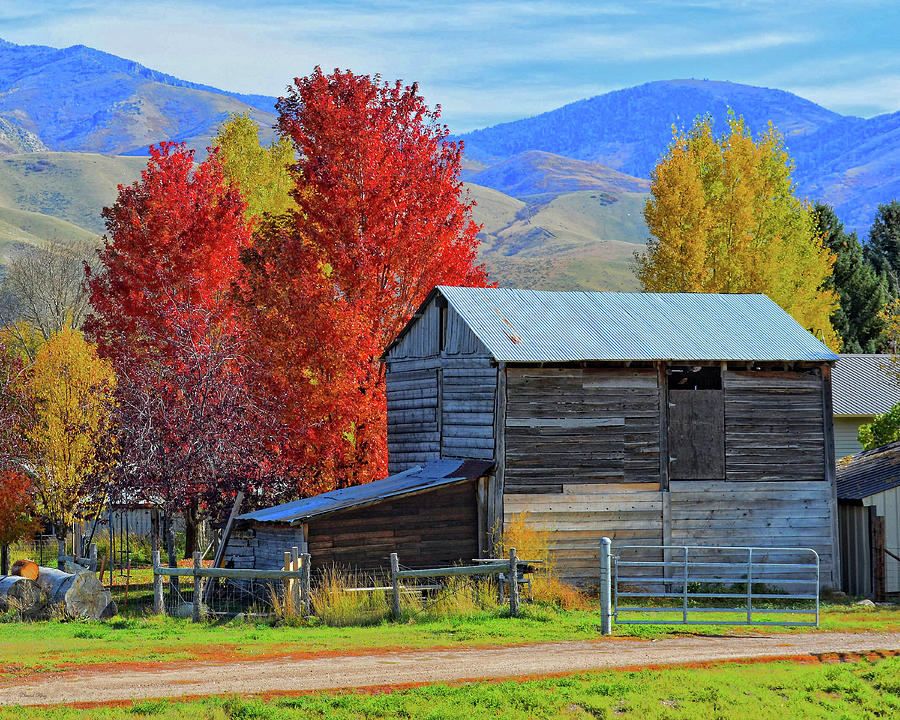 Peterson Barn in Autumn Photograph by DK Digital