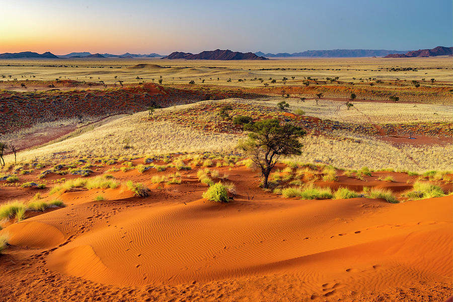 Petrified Dunes, Namib Desert, Namibia Digital Art by Marco Bottigelli