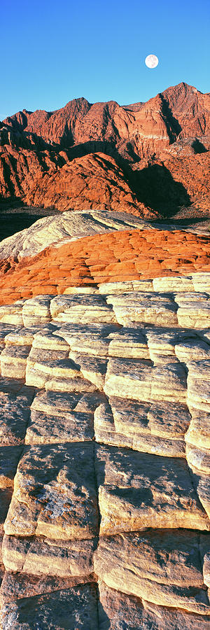 Petrified Dunes, Snow Canyon State Photograph by Panoramic Images