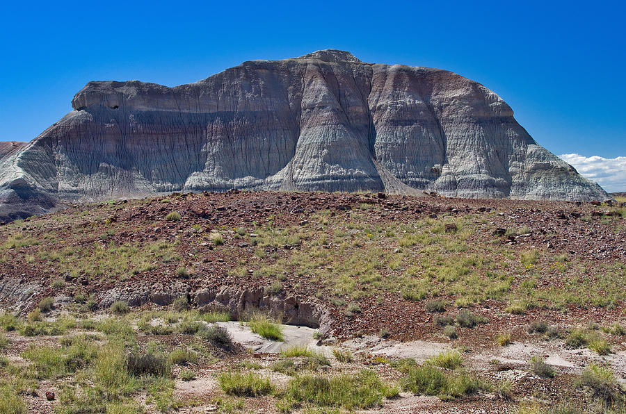 Petrified Forest National Park Photograph by Images Of David Costa
