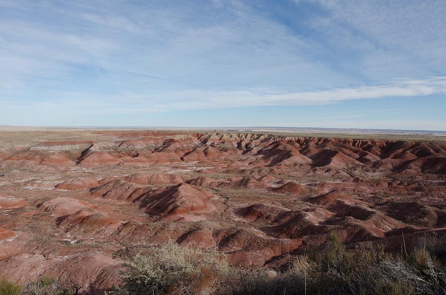 Petrified Forest National Park Photograph by James Petersen