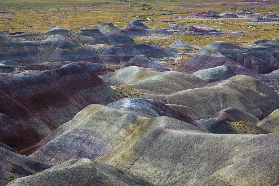 Petrified Forest National Park Photograph by Michele Falzone