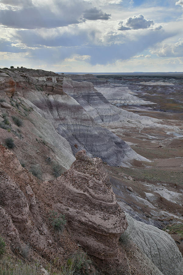 Petrified Forests Blue Mesa Photograph by Ray Mathis