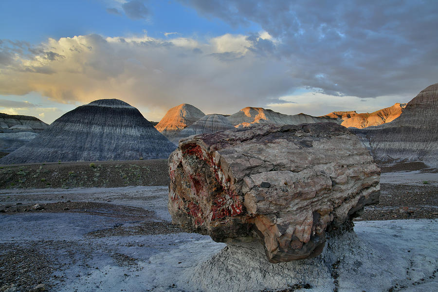 Petrified Log in Blue Mesa of Petrified Forest NP Photograph by Ray Mathis
