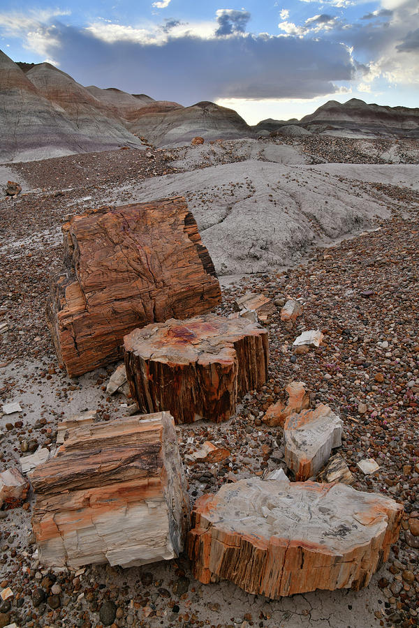 Petrified Wood Chunks in Blue Mesa Photograph by Ray Mathis