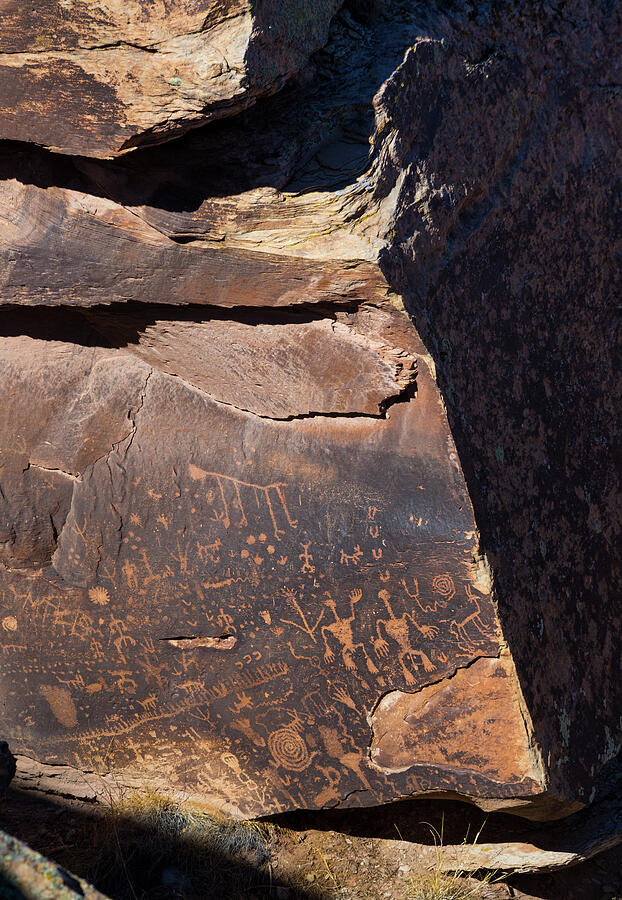 Petroglyphs On Rock, Petrified Forest National Park Photograph by Juan Carlos Munoz / Naturepl.com Petroglyphs On Rock, Petrified Forest National Park Photograph by Juan Carlos Munoz / Naturepl.com