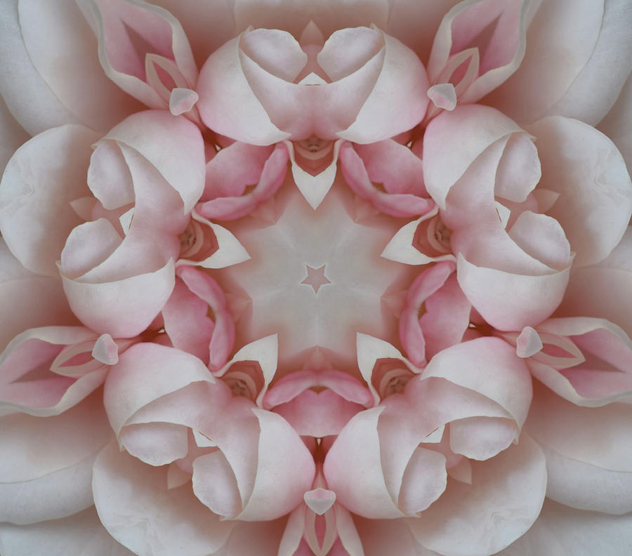 Pattern Digital Art - Petticoat Frills by Christine Lake