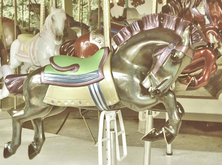 Pewter Carousel Photograph by Dressage Design