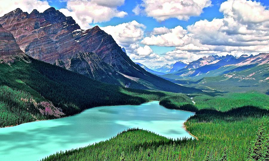 Peyto in August Photograph by Frozen in Time Fine Art Photography