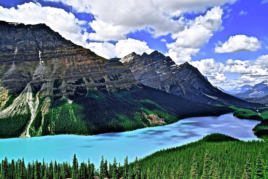 Peyto In Banff National Park Photograph