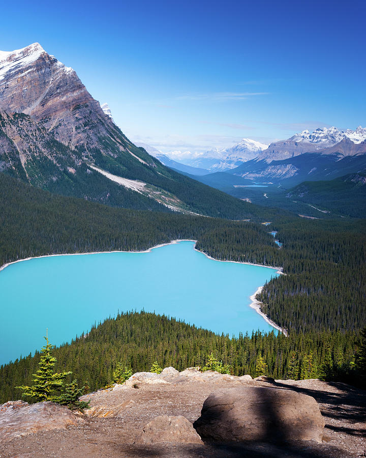 Peyto lake I Photograph by Yuri San