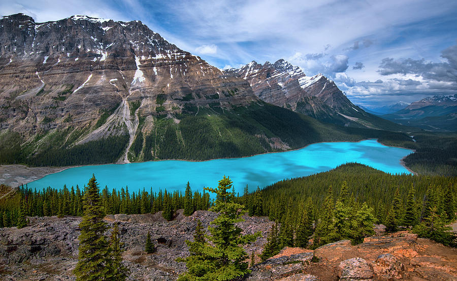 Peyto Lake in Banff National Park Canada Photograph by Dave Dilli