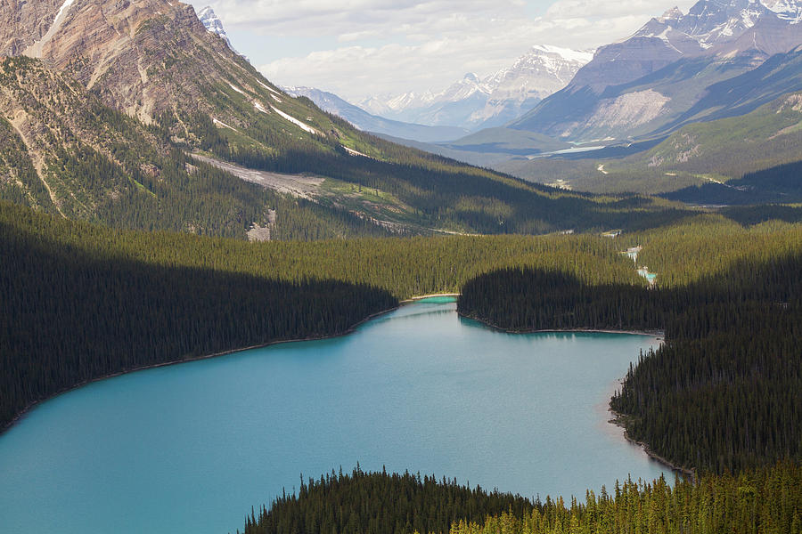 Peyto Lake On The Icefields Parkway In Alberta Canada Photograph by ...