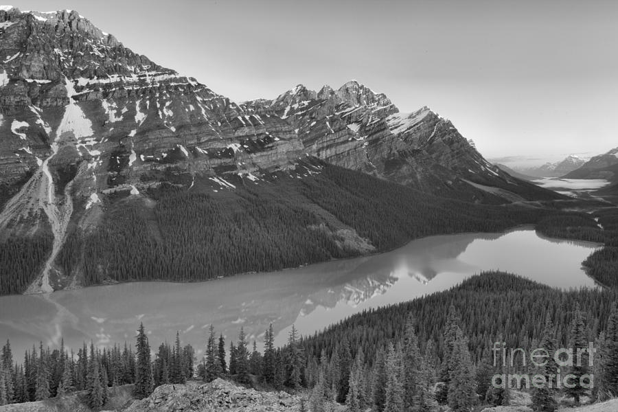 Peyto Lake Red Tip Reflections Black And White Photograph by Adam Jewell