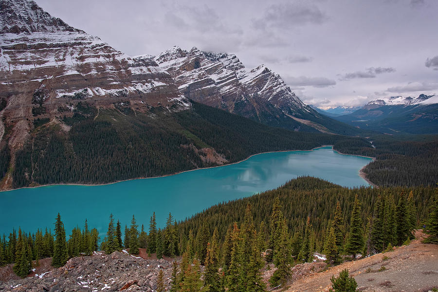 Peyto Lake View Photograph by Catherine Reading