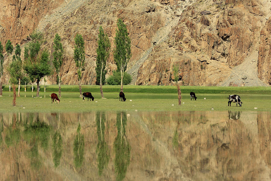 Phandar Lake Photograph by Iqbal Khatri
