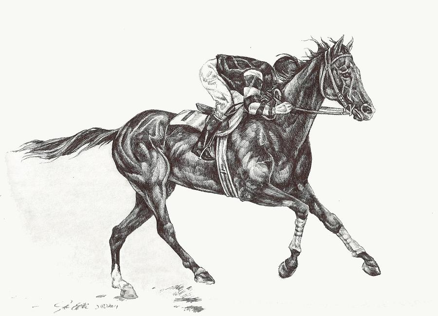 Phar Lap Drawing by Jo-Ellen Linkow - Fine Art America