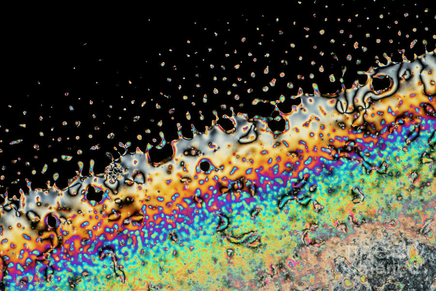 Phase Transition In Liquid Crystal Photograph by Karl Gaff / Science Photo Library
