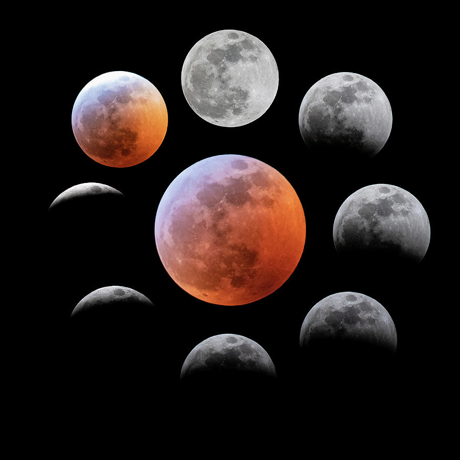 Phases of a Total Lunar Eclipse Photograph by Tony Hake
