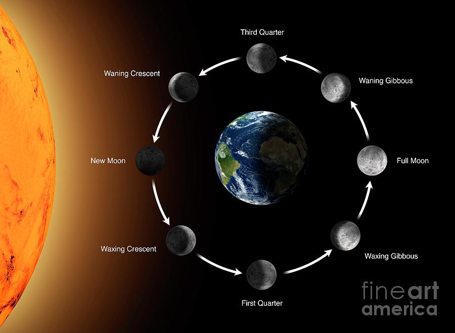 Earth Science Moon Phases