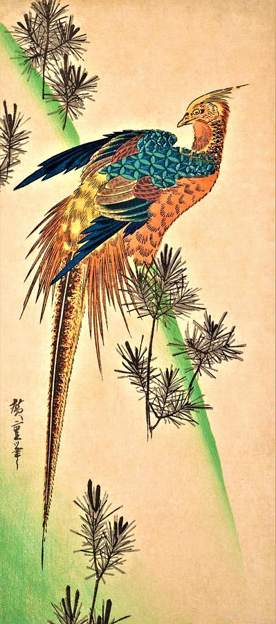 Pheasant Painting - Pheasant and Pine trees by Utagawa Hiroshige