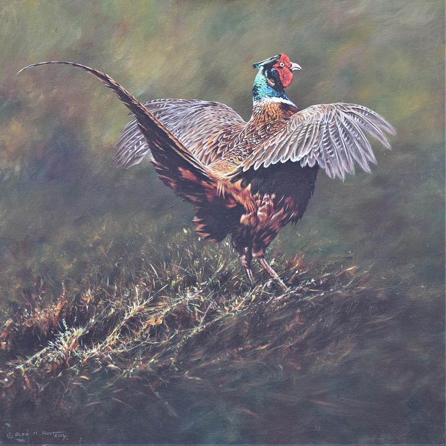 Pheasant Displaying Painting by Alan M Hunt