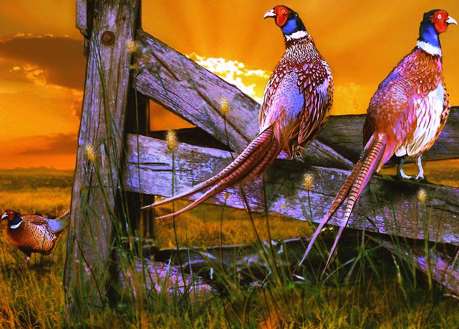 Wildlife Mixed Media - Pheasant fence by Christian Podgorski