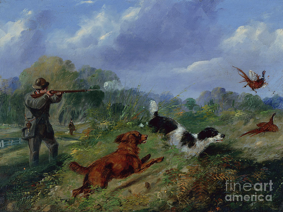 Pheasant Shooting Oil Painting by Samuel Henry Alken