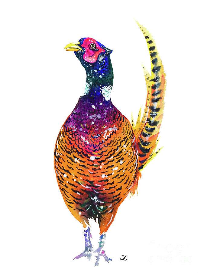 Pheasant Painting by Zaira Dzhaubaeva