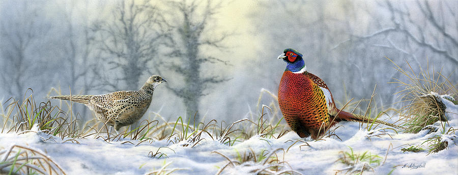 Winter Painting - Pheasants 1151 by Nigel Artingstall