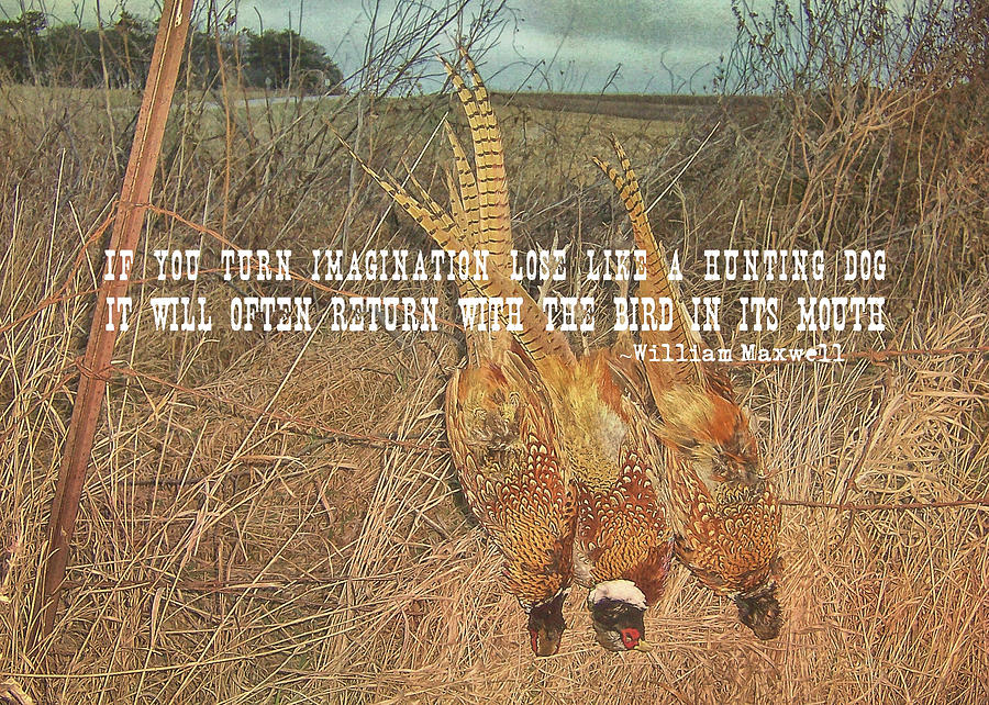 PHEASANTS quote Photograph by JAMART Photography