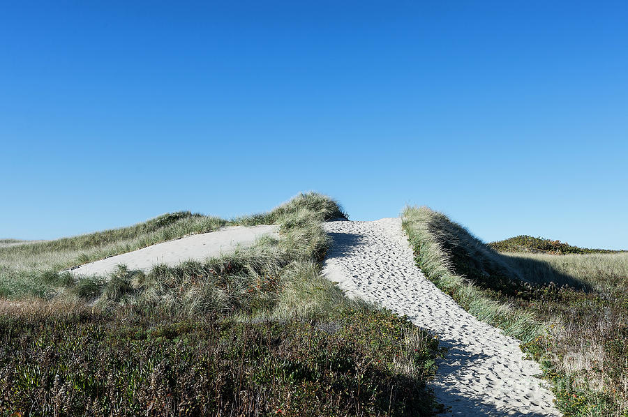 Philbin Beach Photograph by John Greim - Fine Art America