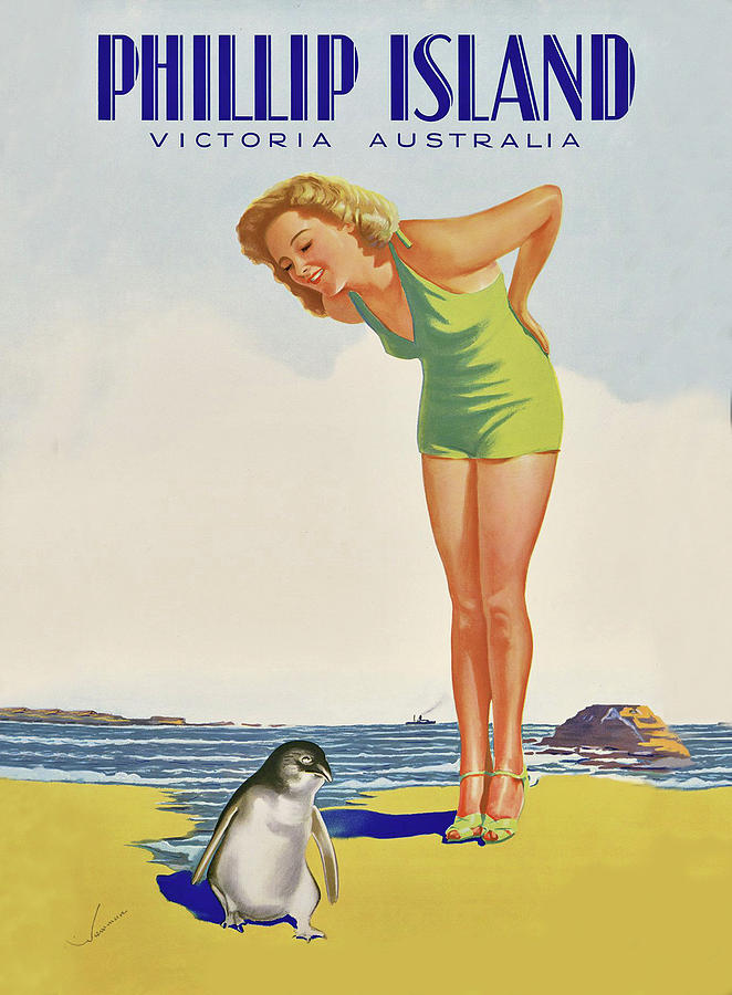 Penguin Digital Art - Phillip Island by Long Shot