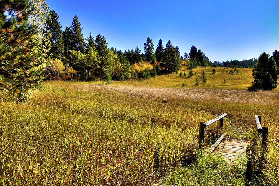 Phillips Farm Footbridge by David Patterson Phillips Farm Footbridge by David Patterson