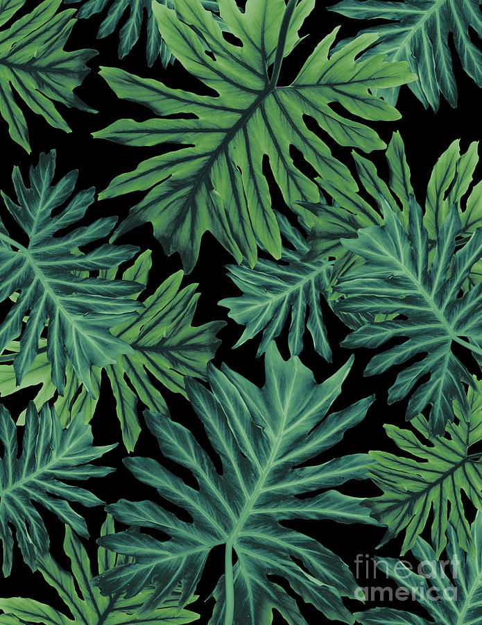 Philo Hope Tropical Jungle Night Leaves Pattern 1 Tropical Decor Art Mixed Media By Anitas