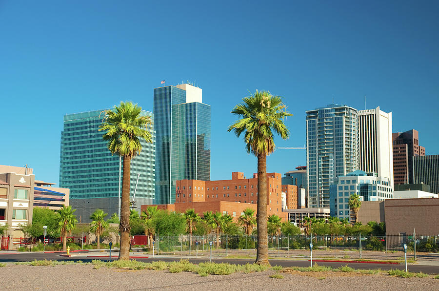 Phoenix Downtown Buildings And Palm Photograph by Davel5957