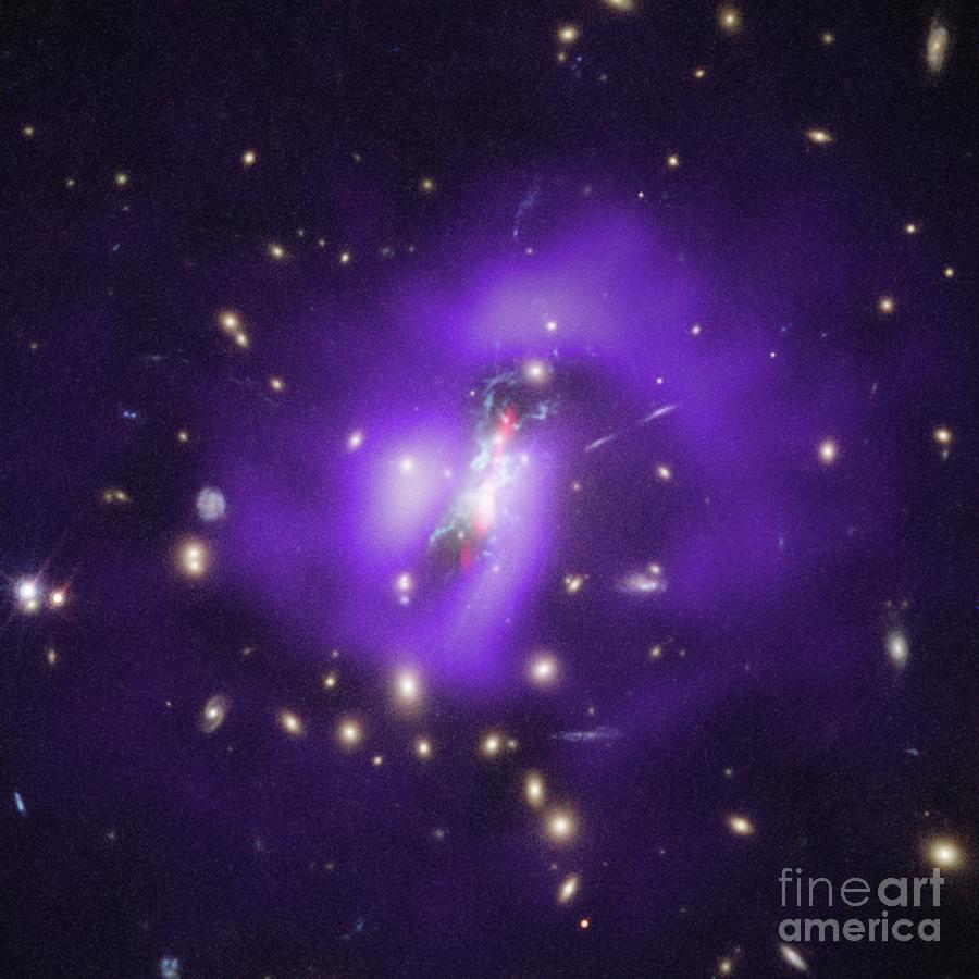 Phoenix Galaxy Cluster Photograph by Nasa, Esa, And Nrao/science Photo Library