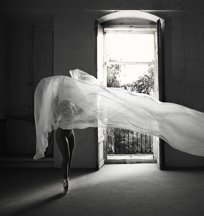 Dance Photograph - Phoenix by Renata Apanaviciene