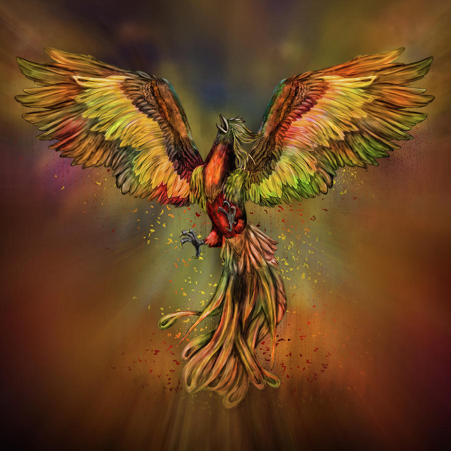 Phoenix rising of pictures Pictures Of