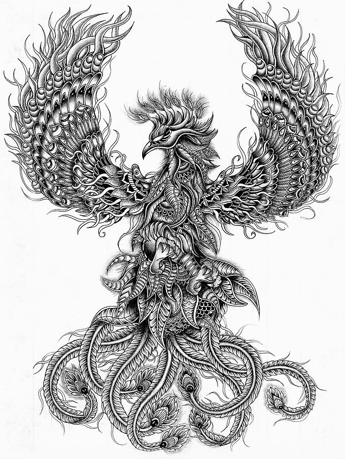 Птица феникс картинки графика