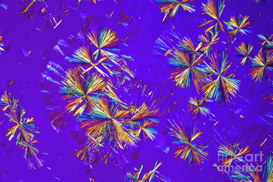 Phorazin Crystals Photograph by Dr Keith Wheeler/science Photo Library