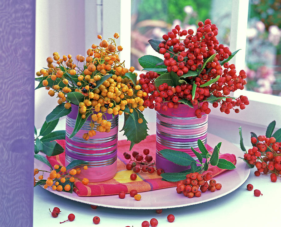 Photinia Bouquets With Canned Yellow And Red Berries Photograph by Friedrich Strauss