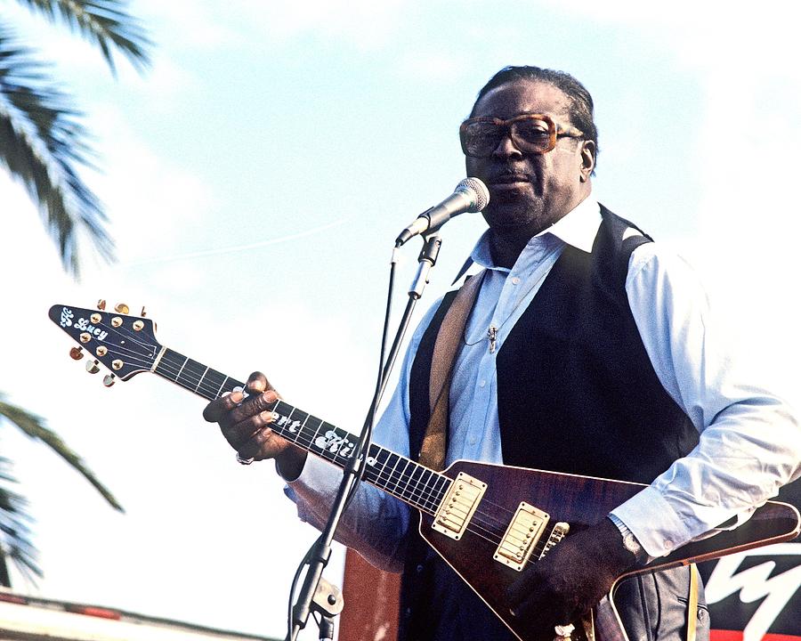 Photo Of Albert King Photograph by Larry Hulst