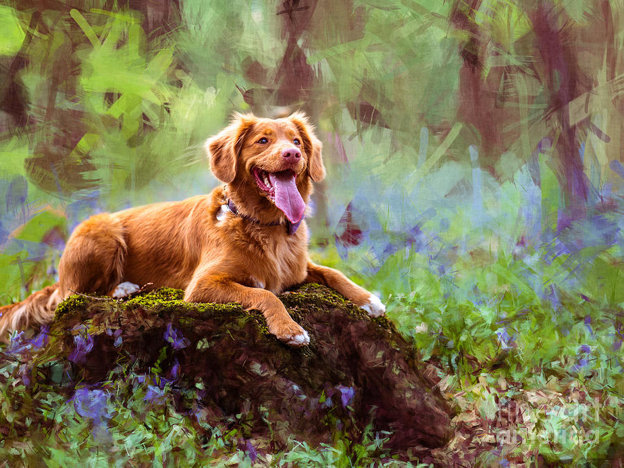 Photogenic Dog Digital Art by Phil Perkins