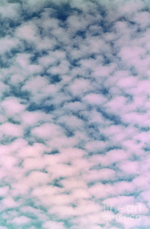 Photograph Of Cirrocumulus Clouds Photograph by George Bernard/science Photo Library
