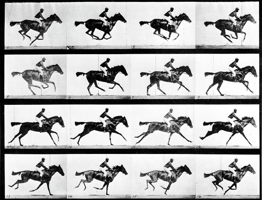 Photographer Eadweard Muybridges Study Photograph by Eadweard Muybridge Photographer Eadweard Muybridges Study Photograph by Eadweard Muybridge