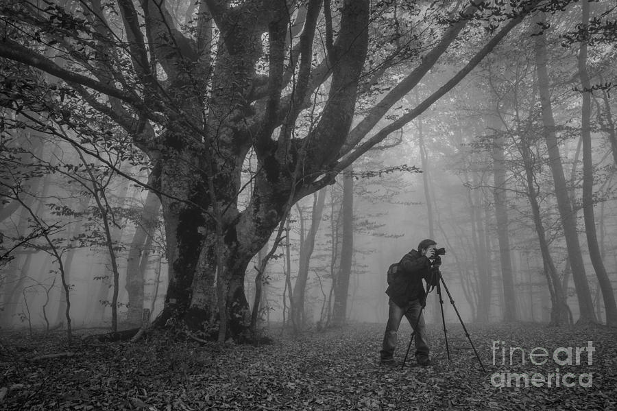 Tree Photograph - Photographer With Camera And Tripod by Kuznetcov konstantin