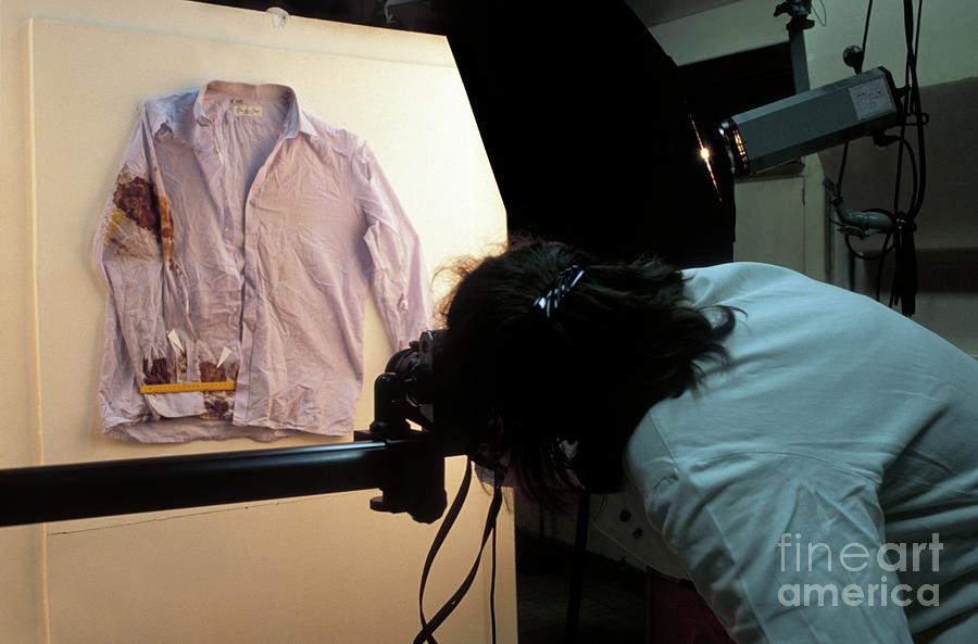 Photographing Forensic Evidence Photograph by Patrick Landmann/science Photo Library