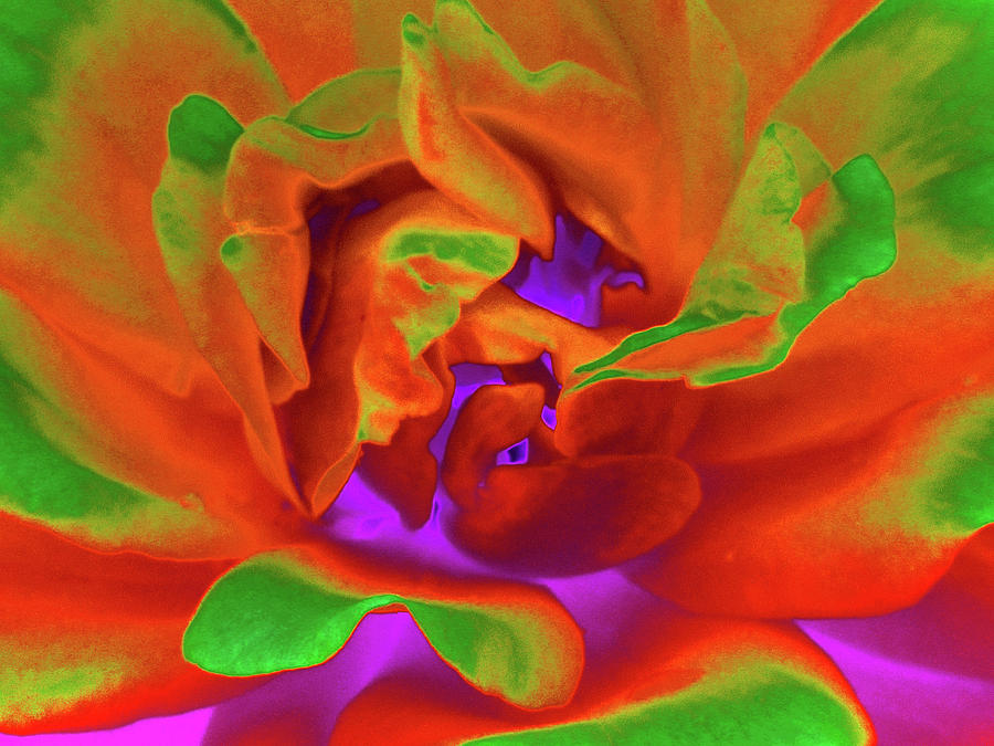 PhotoPower Magic - Floral Abstract - 3555 Photograph by Pamela Critchlow